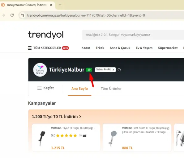 turkiyenalbur.com 'un trendyol.com mağaza puanı 10
